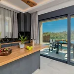 빌라 Azor Luxury Ii Pandokrátor